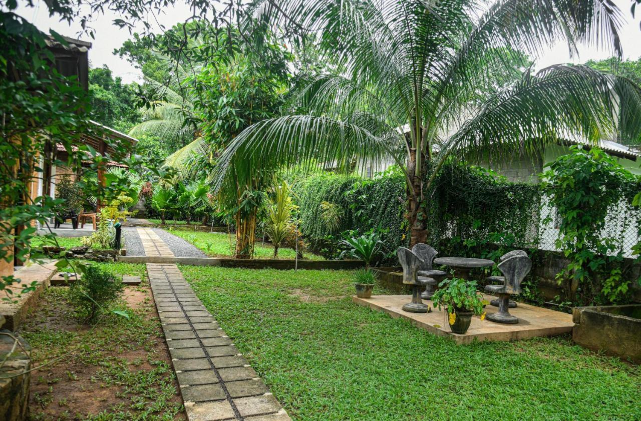 Hotel Clay House Udawalawe Esterno foto