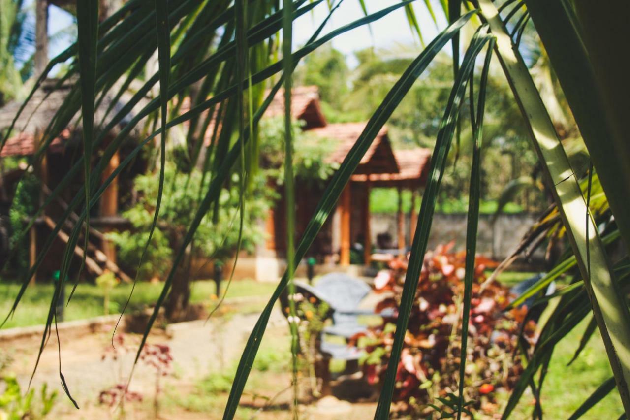 Hotel Clay House Udawalawe Esterno foto